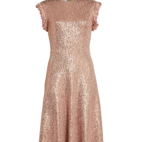 St John’s Sequin Knit Cap Sleeve Fit & Flare Dress W/ Fringe Trim Detail - Lined - Picture 8 of 9